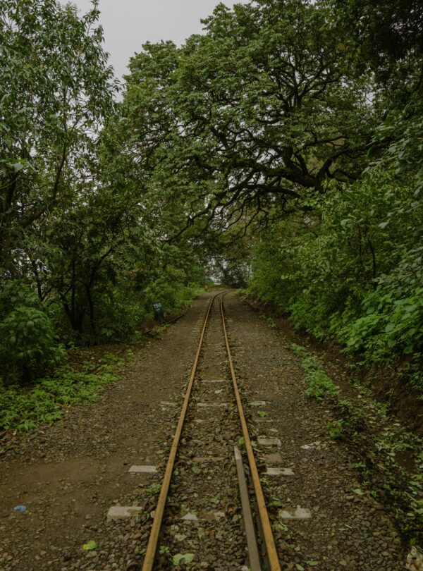 Lush green railway track through the forest in Matheran, Maharashtra, India.