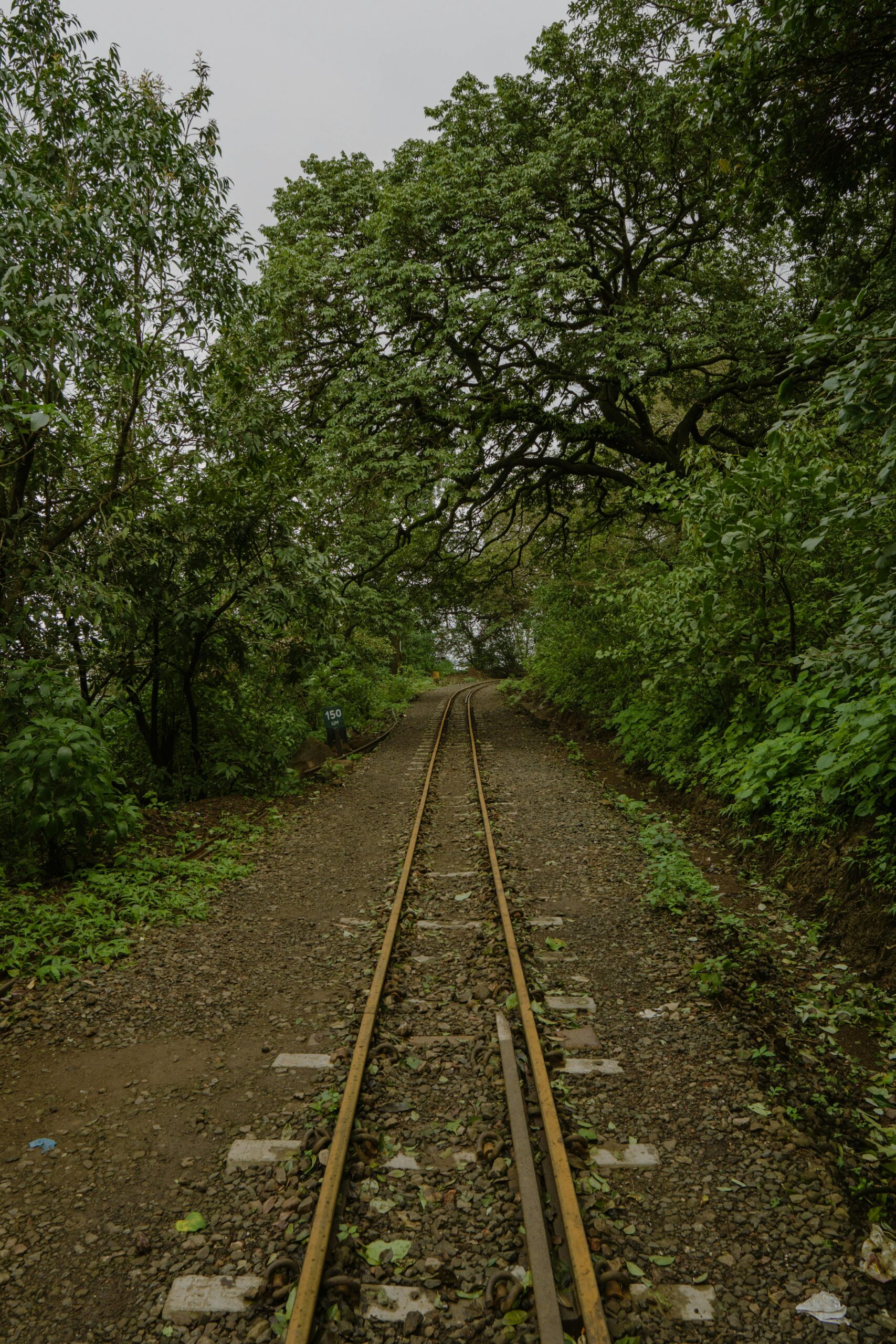 Lush green railway track through the forest in Matheran, Maharashtra, India.